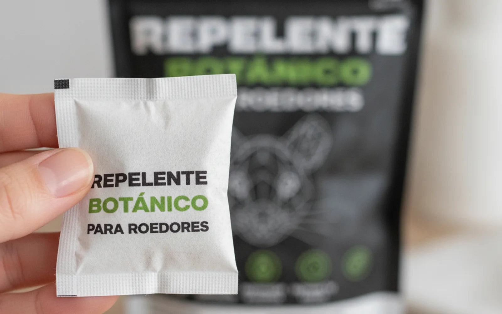 Encabezado