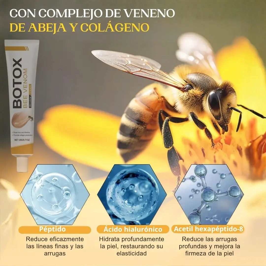 Encabezado