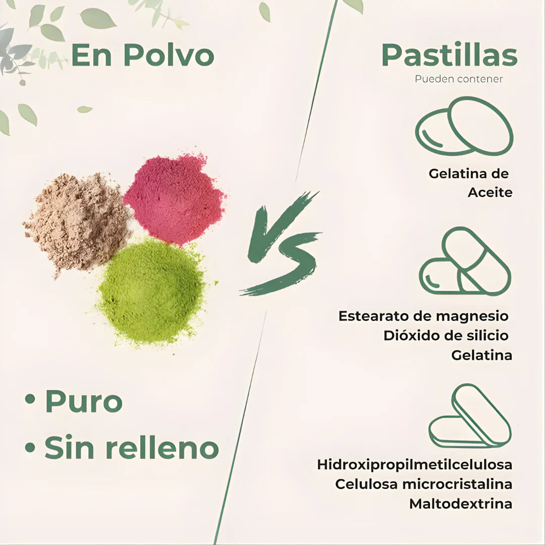 Encabezado