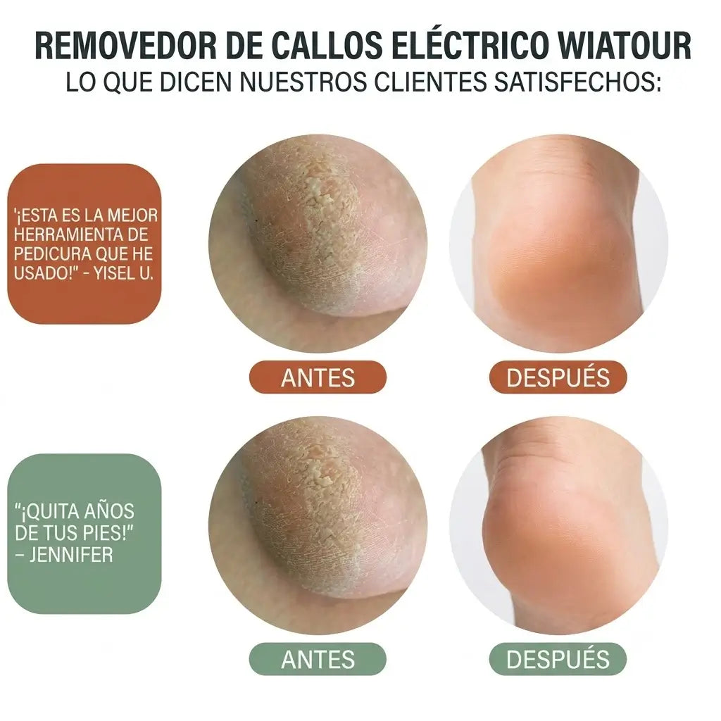Encabezado