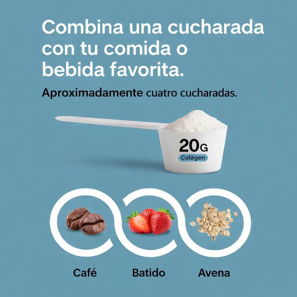 Encabezado