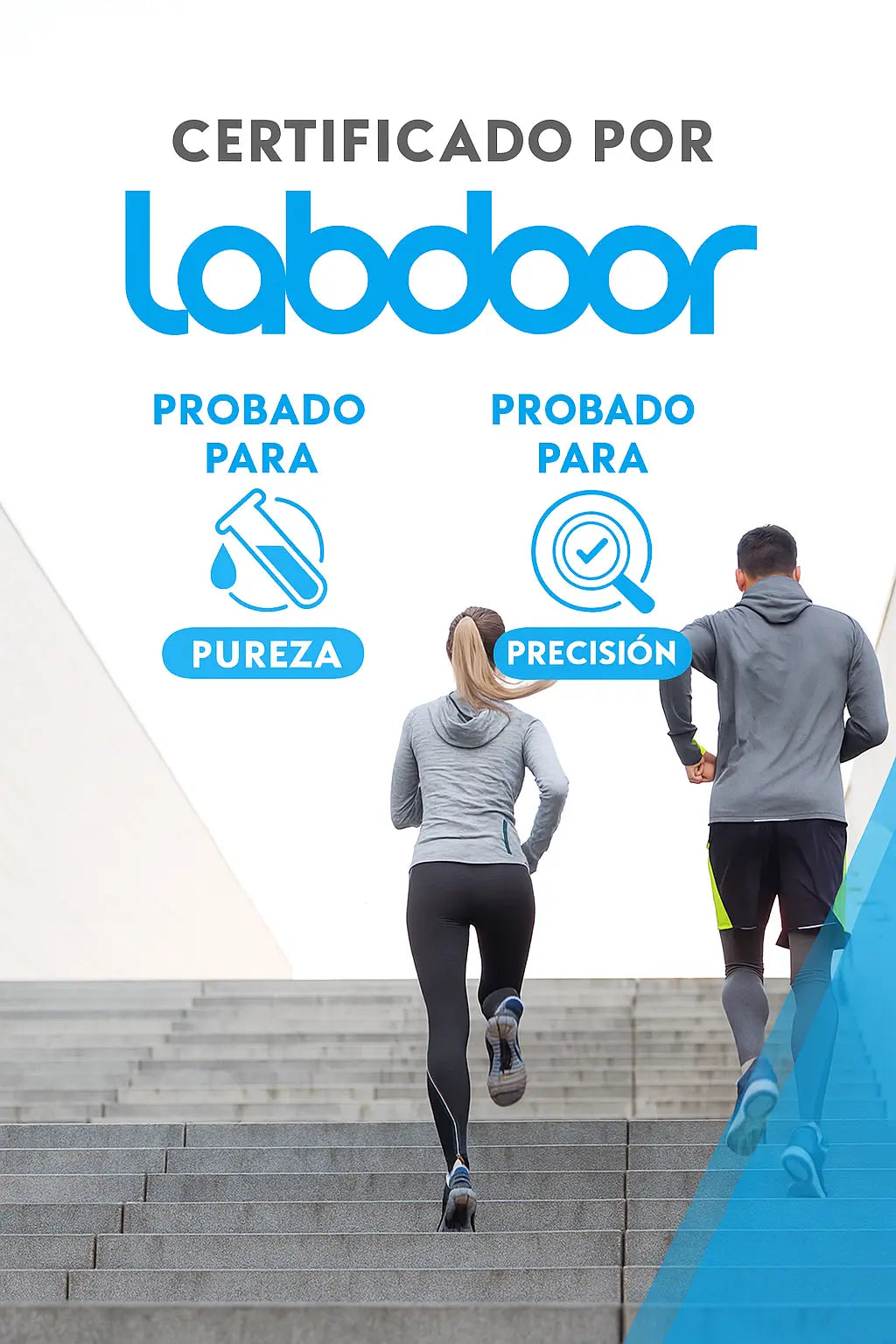 Encabezado