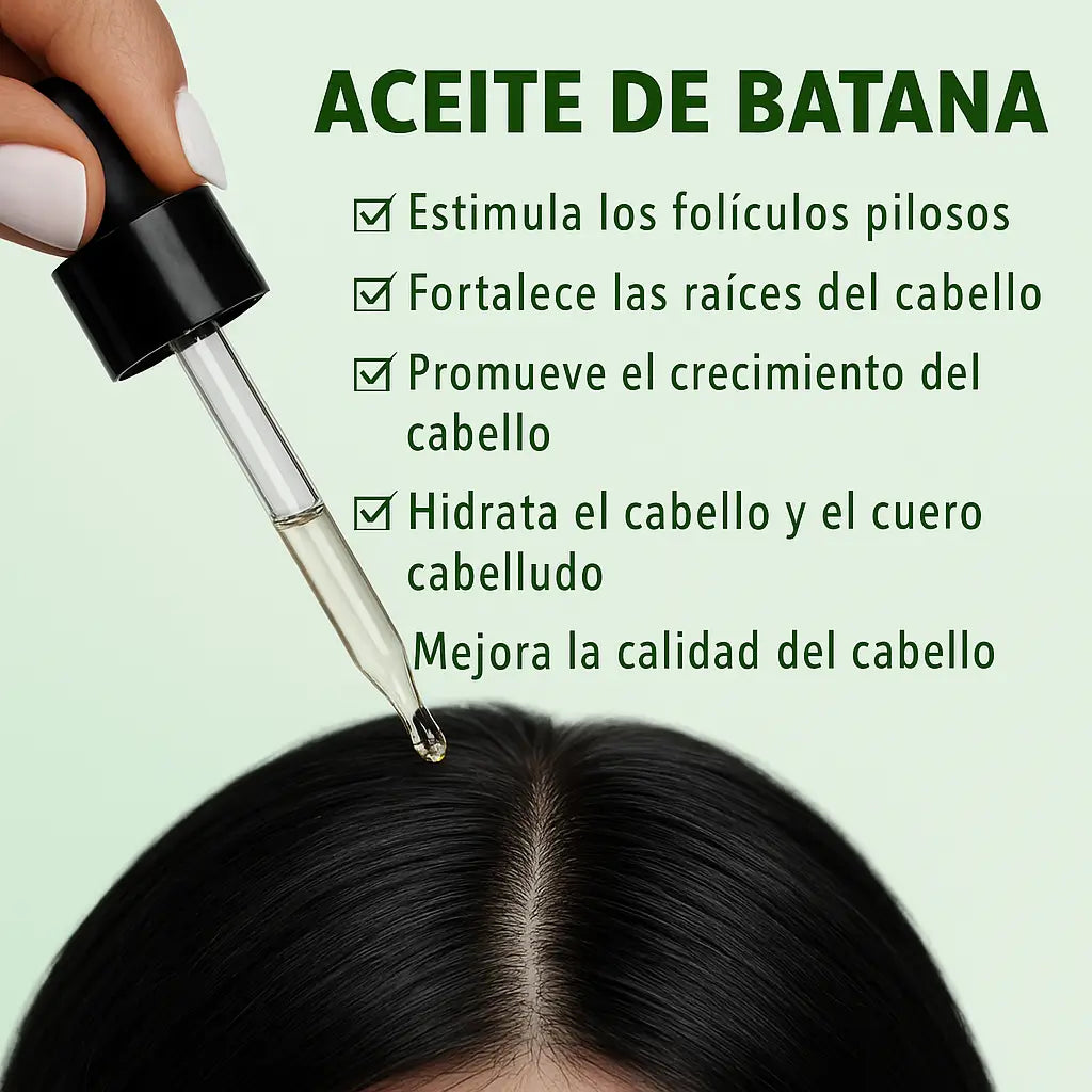 Encabezado