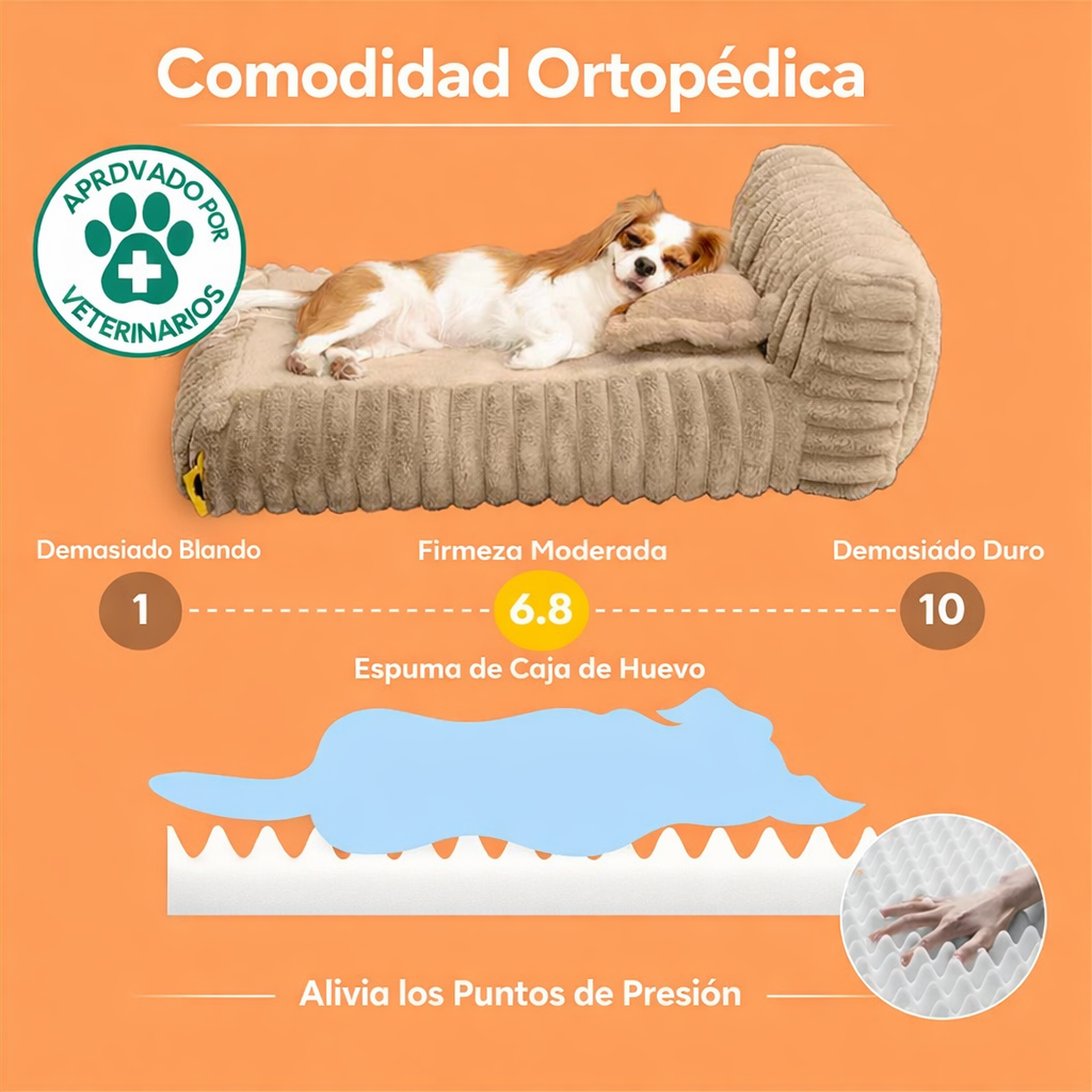 Encabezado