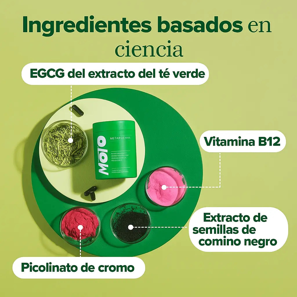 Encabezado