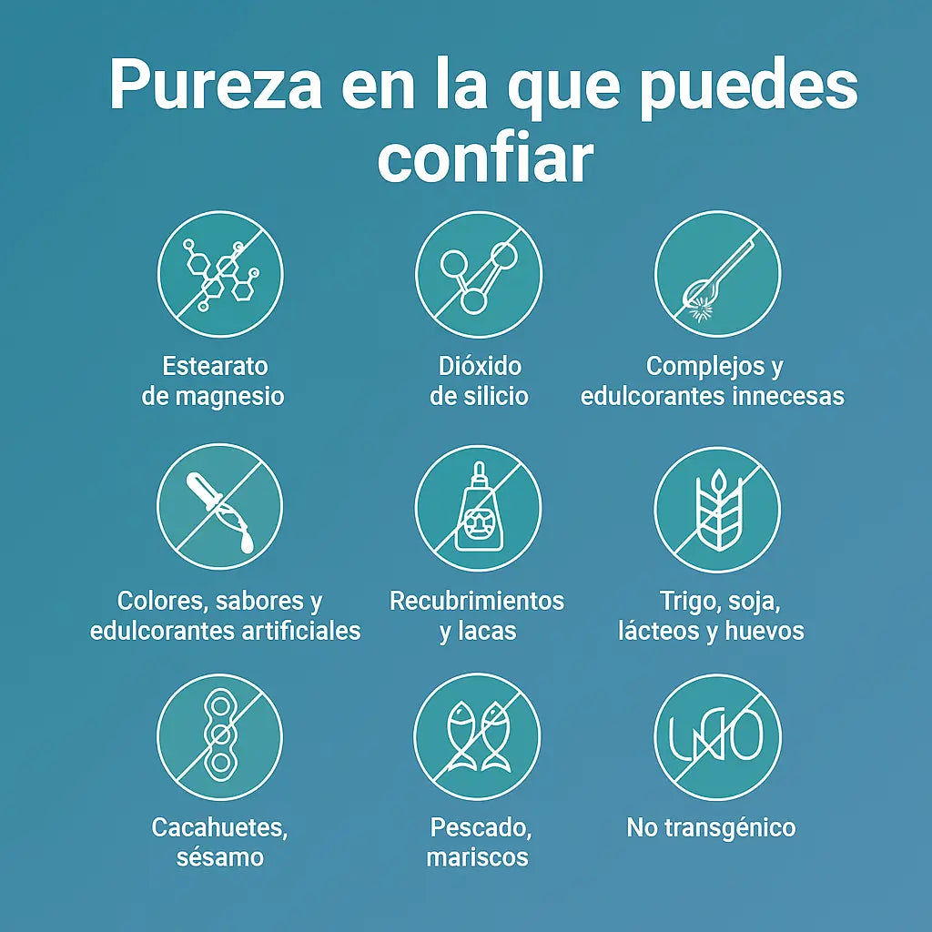 Encabezado