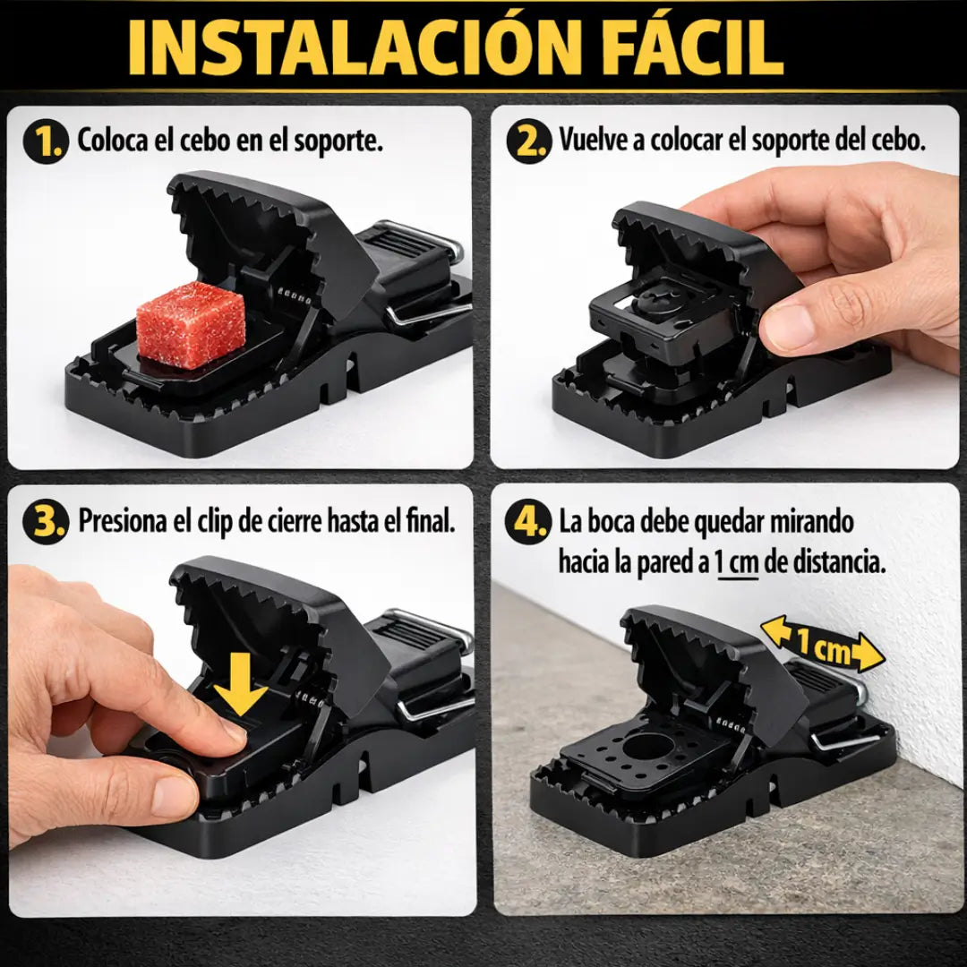 Encabezado