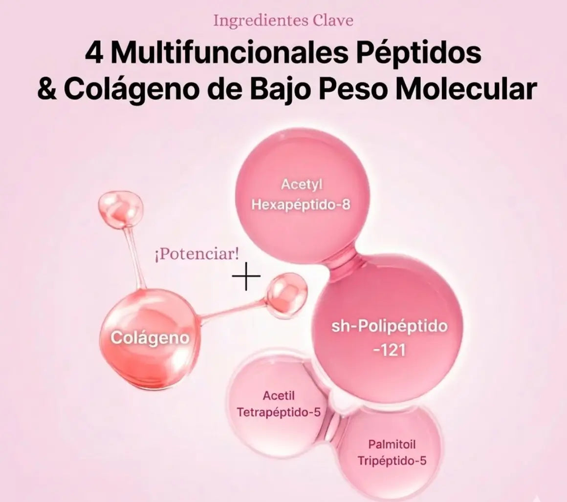 Encabezado