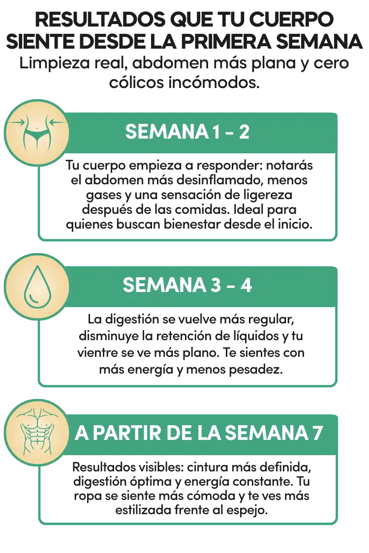 Encabezado