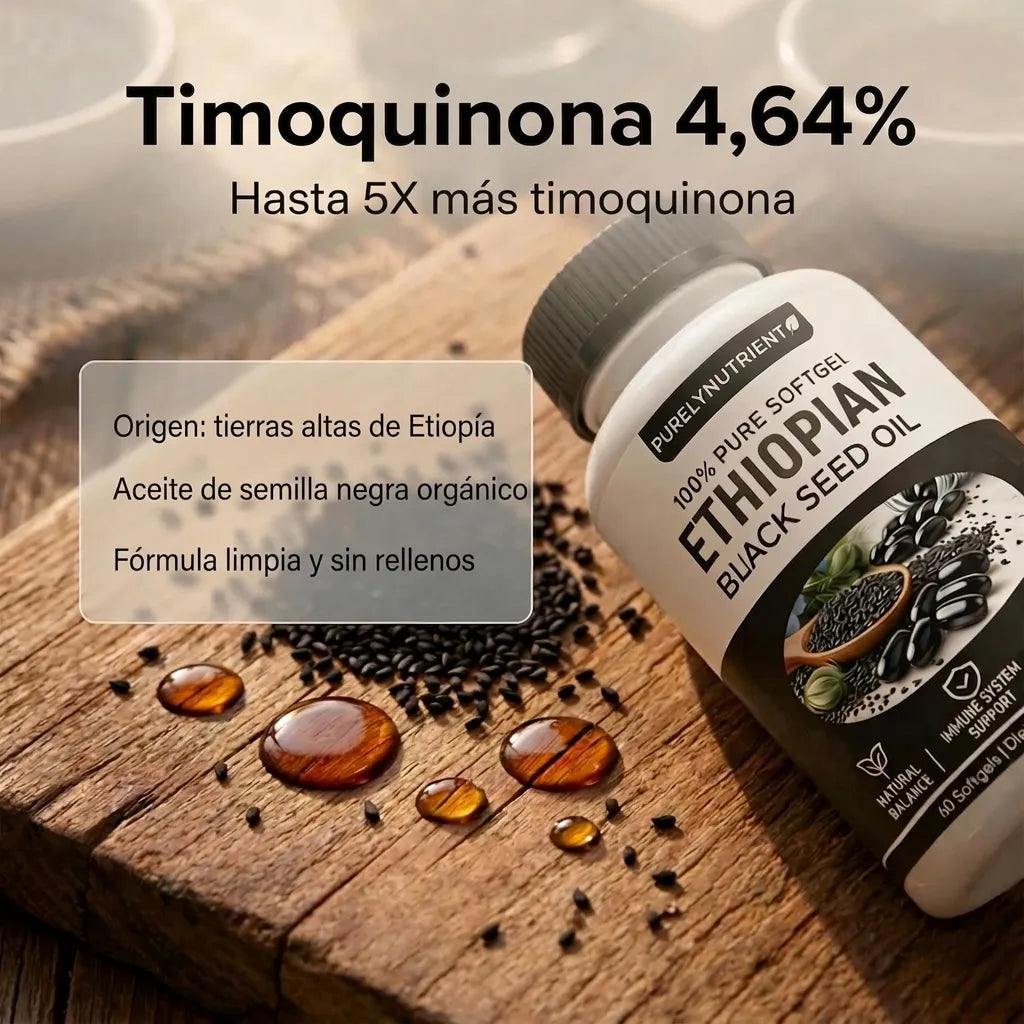 Encabezado