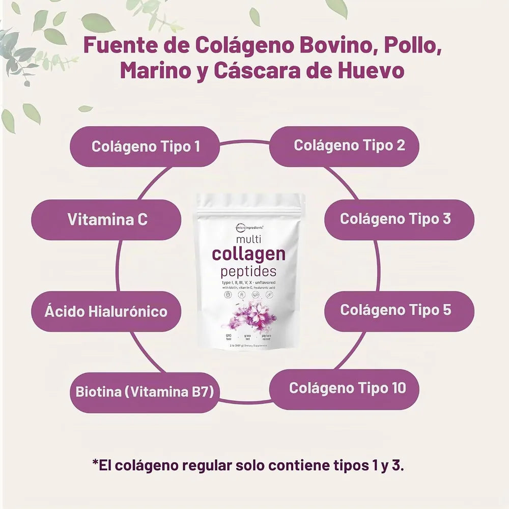 Colágeno Hidrolizado Multi Tipos I, II, III, V y X — 454 g, Sin Sabor