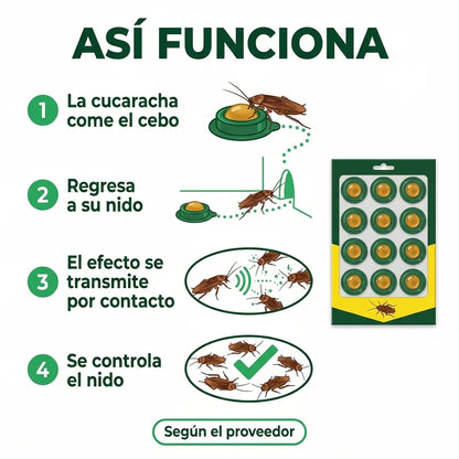 🪳 Cebo para Cucarachas en Gel — 12 Estaciones, Sin Rociar y Sin Olor Fuerte