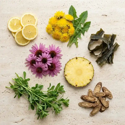 🍃 Cápsulas de Drenaje Linfático Sculptique — Fórmula Herbal (60 cápsulas)