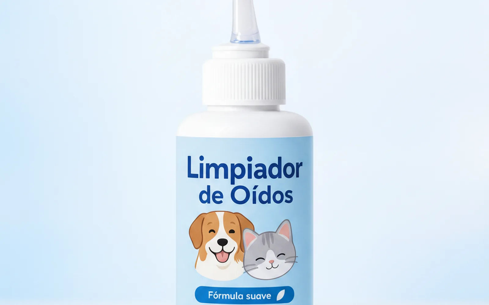 Encabezado