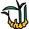 Ícono