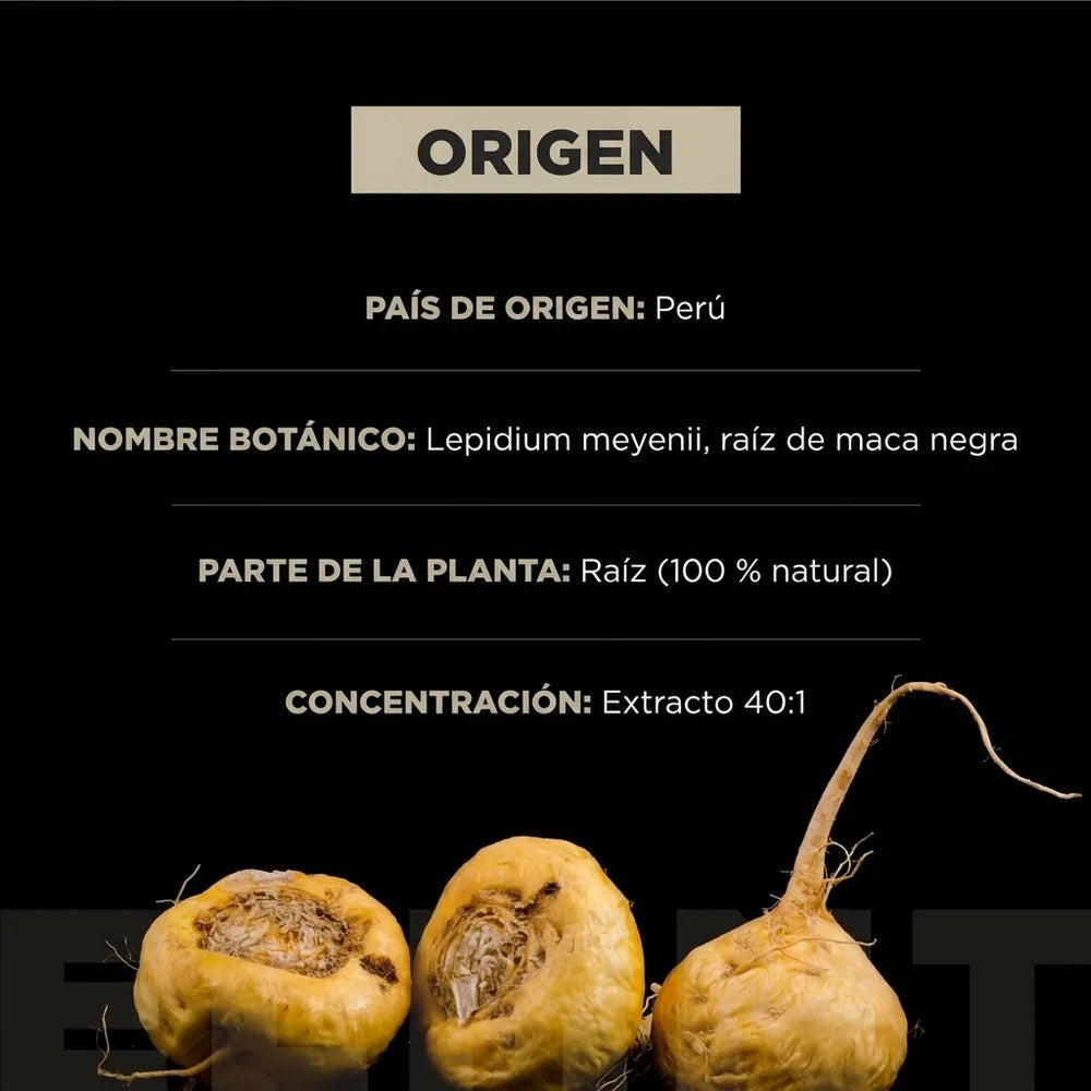 Black Maca + Ashwagandha ELMNT — Energía, Enfoque y Vitalidad · 60 Cápsulas