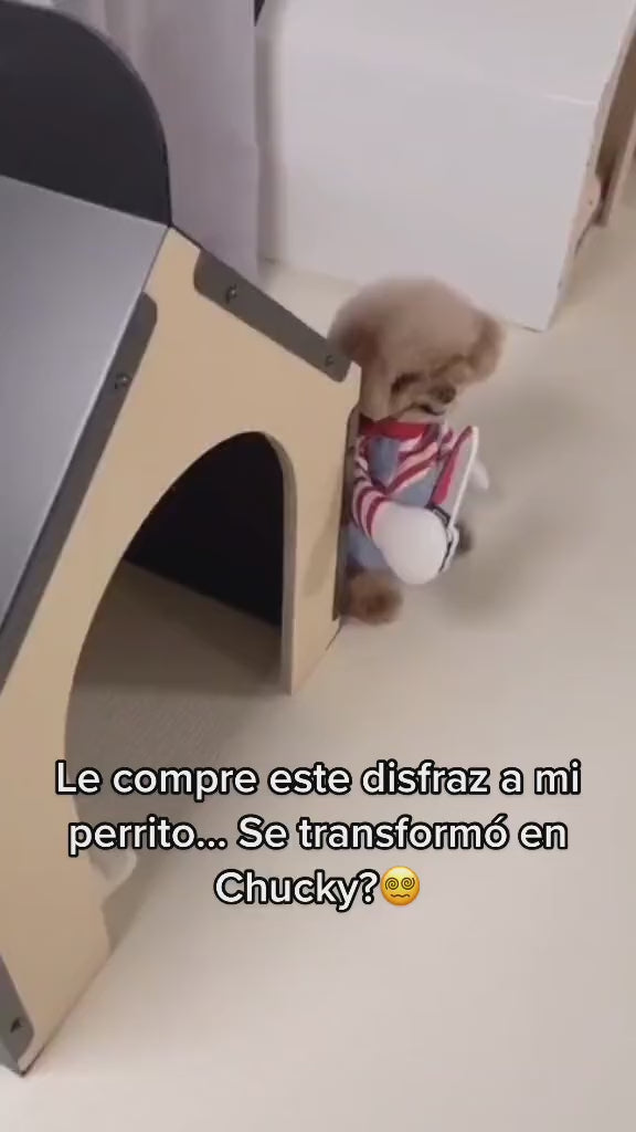 Cargar video: 