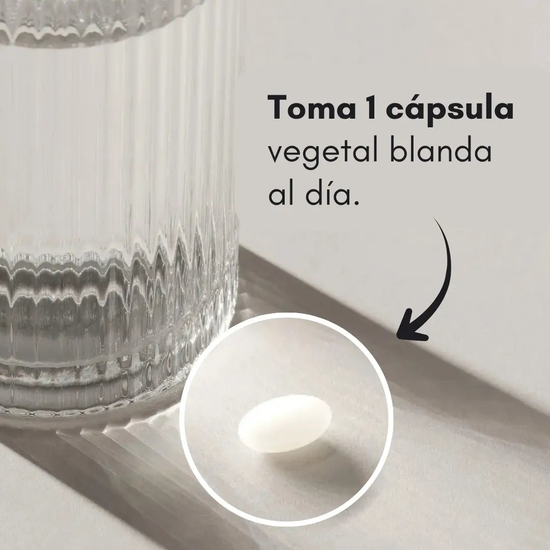 Encabezado