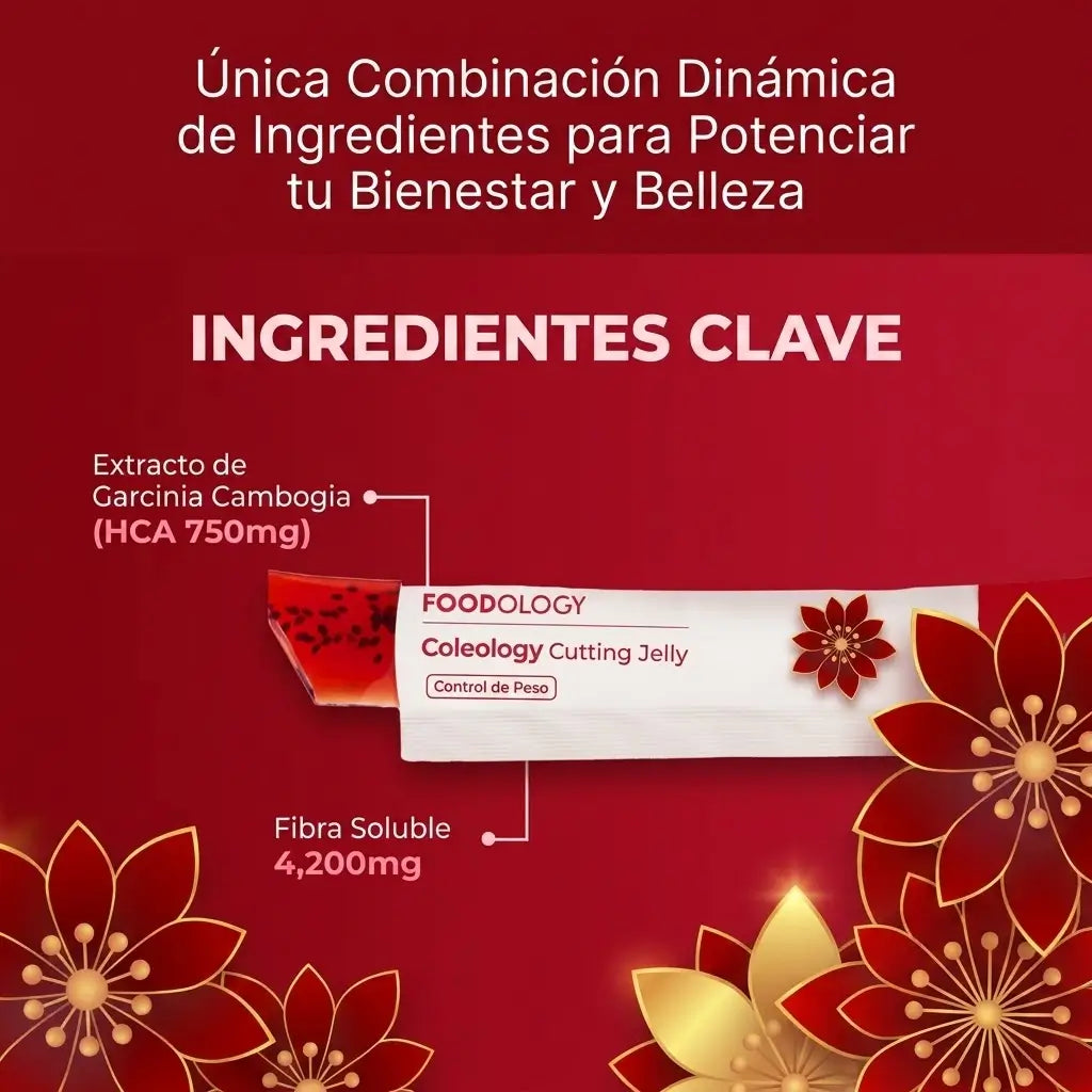 Encabezado